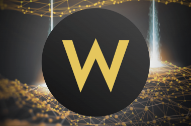 Why own a WEXO Token?