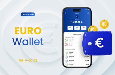 EURO Wallet in WEXO