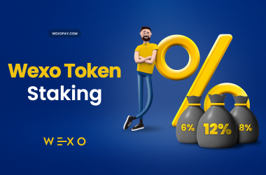 Presale staking: annual appreciation from 500 WEXO Tokens