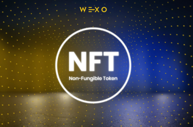 NFT - The most exciting innovation in crypto